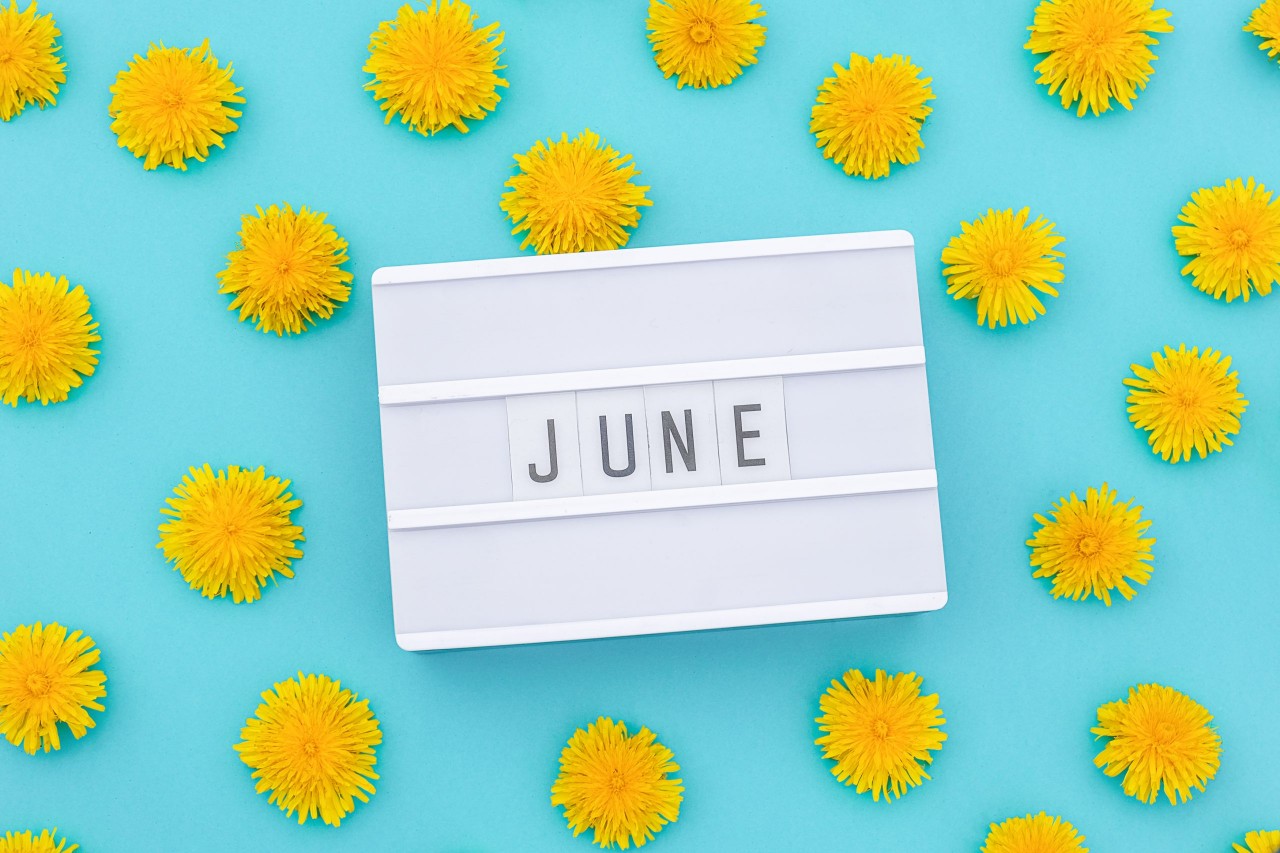 june-scaled