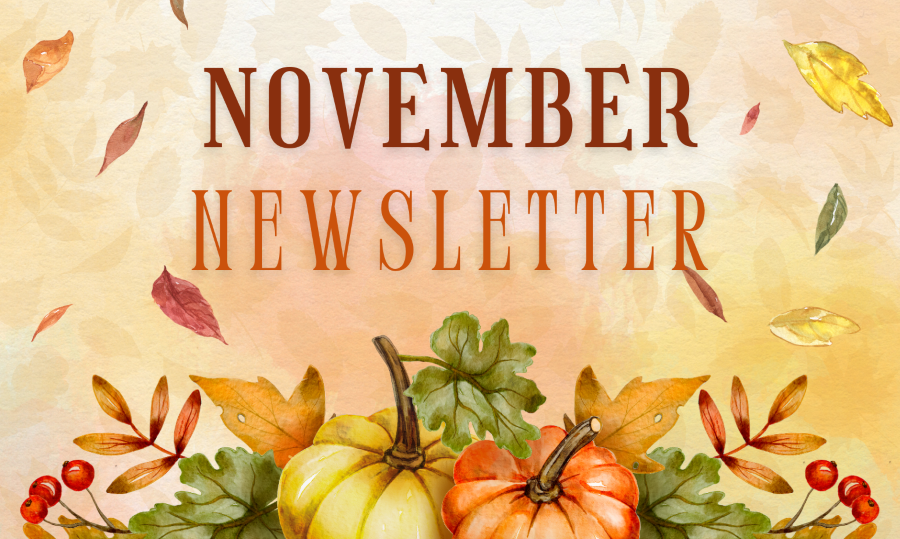 November newsletter cover